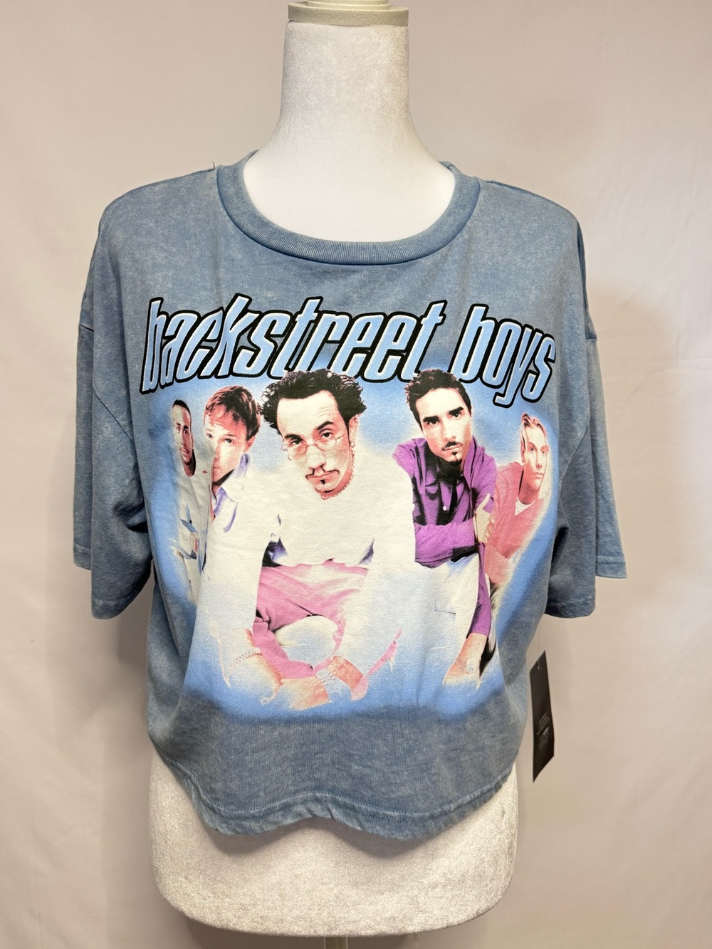 Backstreet Boys Graphic Skimmer Crop Tee Size XXS NWT